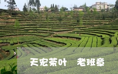 天宏茶叶 老班章/2023032995039